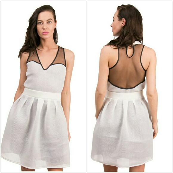 NWT$200 LUXURY  FASHION ❤ Sporty Sheer Scuba Dress - Picture 1 of 6